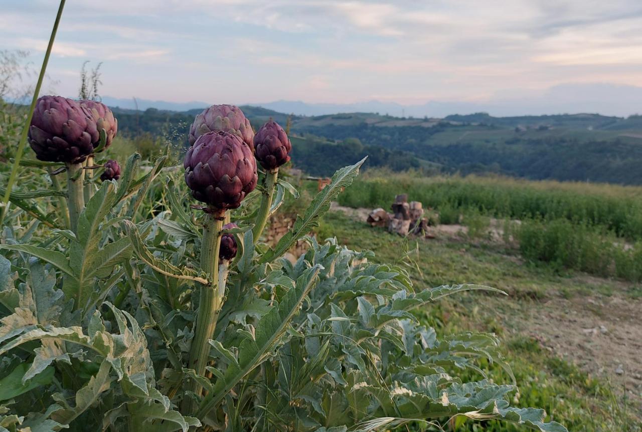 Cascina Nomade - Wine & Scenic Retreat Apartment Dogliani Luaran gambar