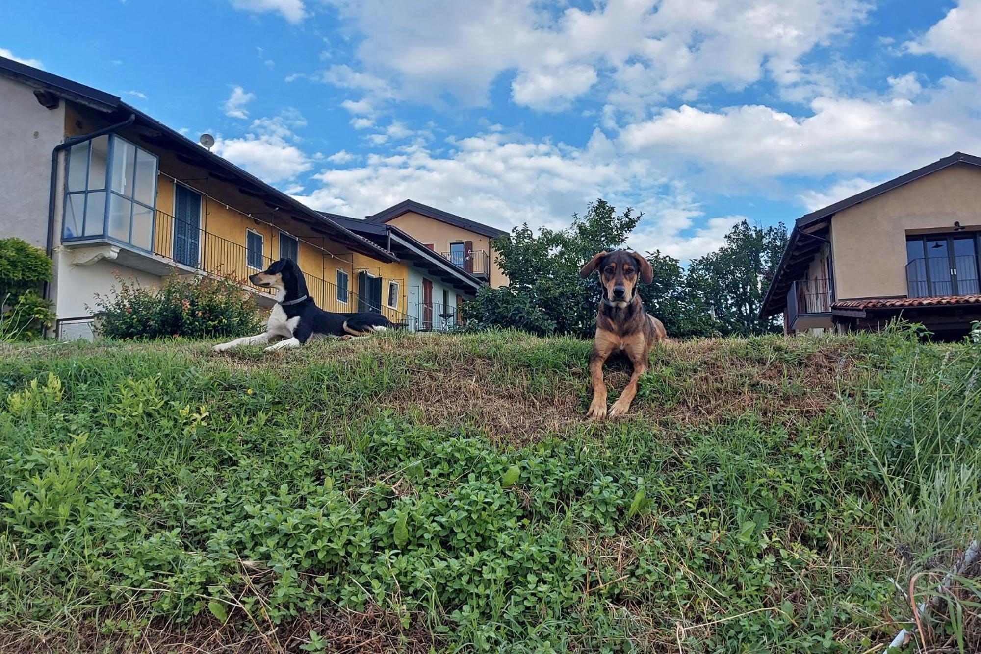 Cascina Nomade - Wine & Scenic Retreat Apartment Dogliani Luaran gambar